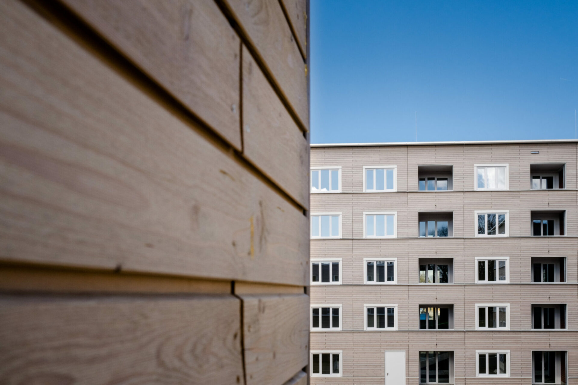 Bauleiter für Holz-Hybrid Systembau (m/w/d)