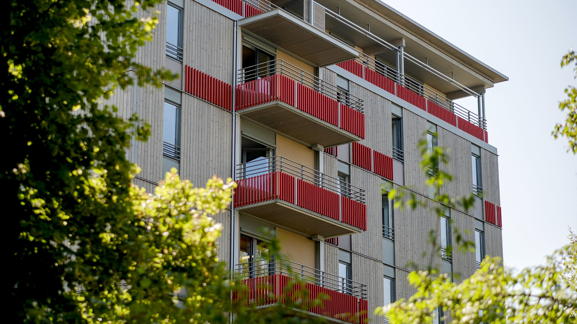 Holz_8_Bad_Aibling