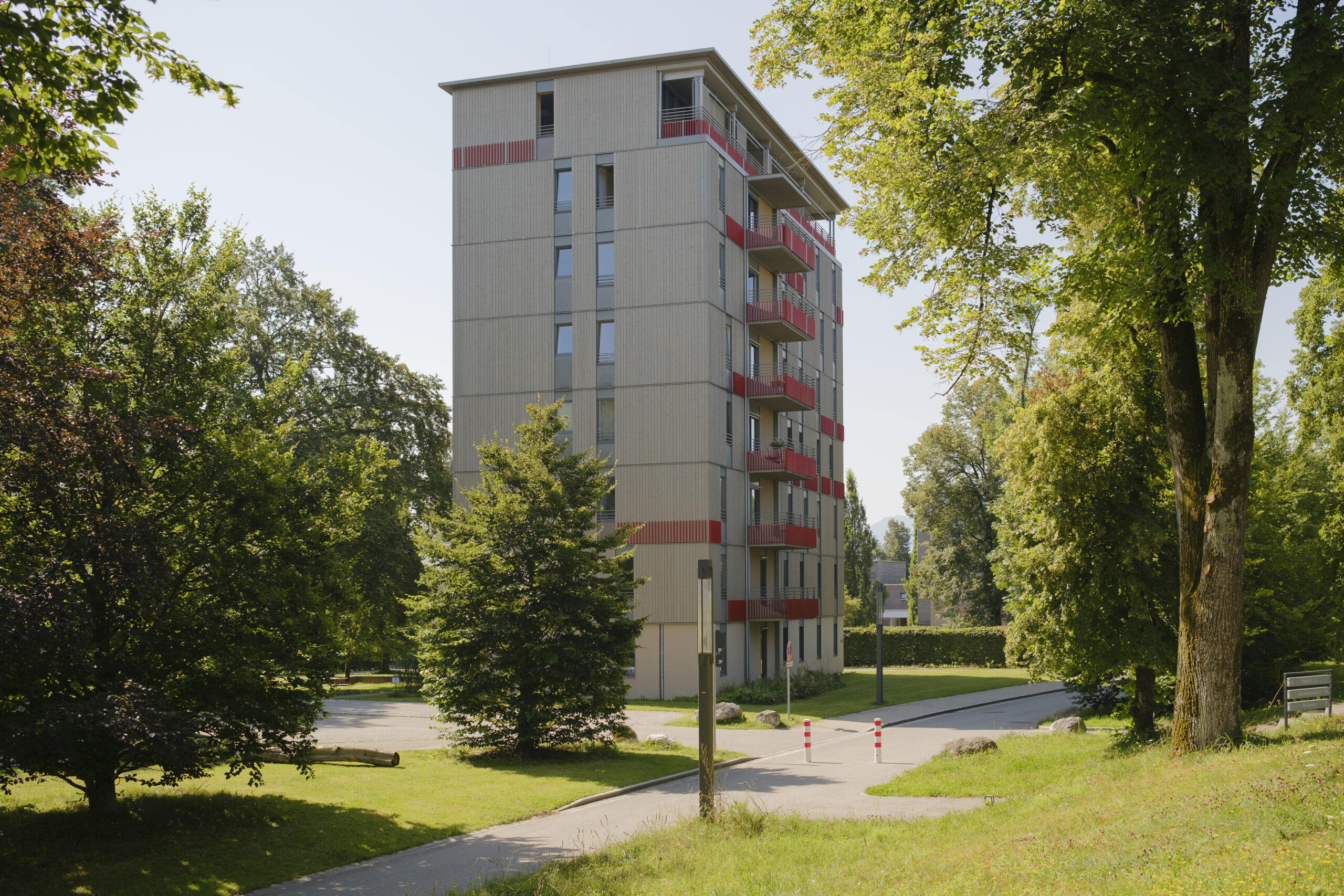 Holz 8