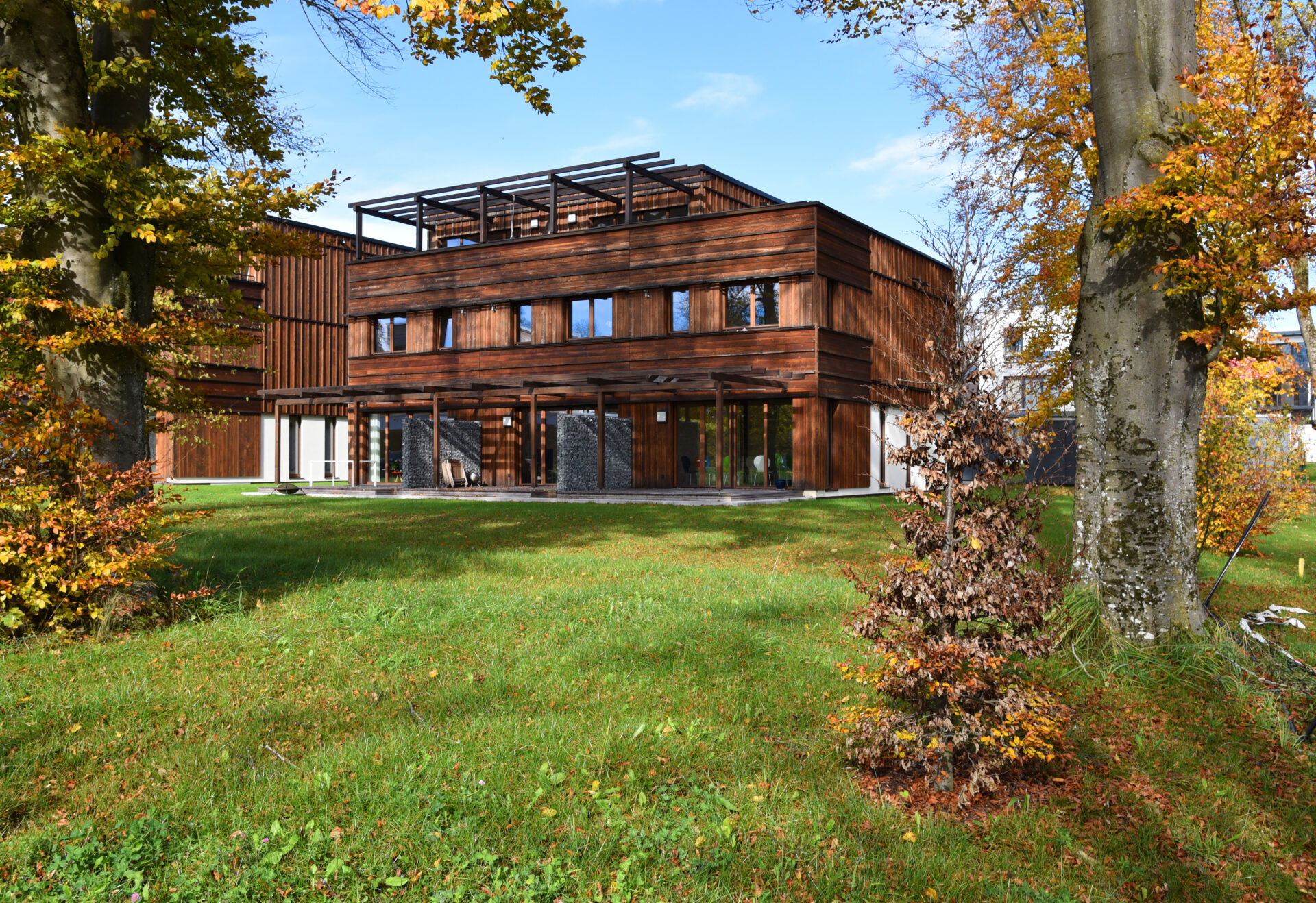 Holz 3