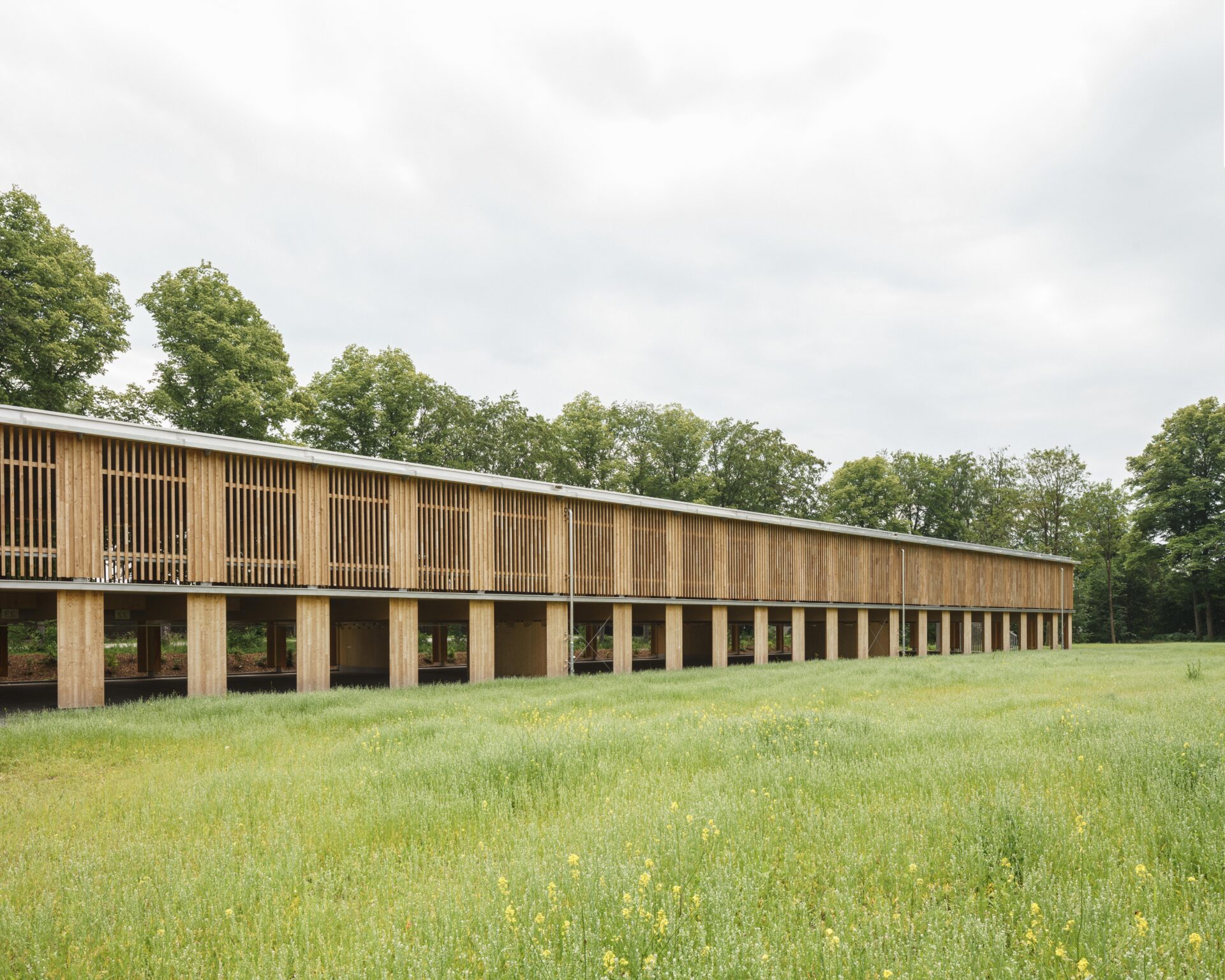 Holzparkdeck